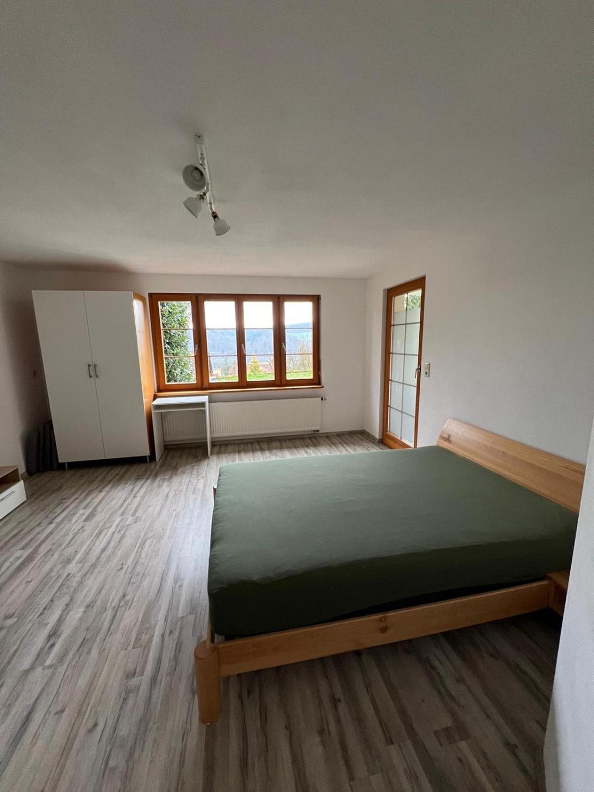 Kleine Ferienwohnung - Naehe Schweizergrenze Hohentengen am Hochrhein Экстерьер фото